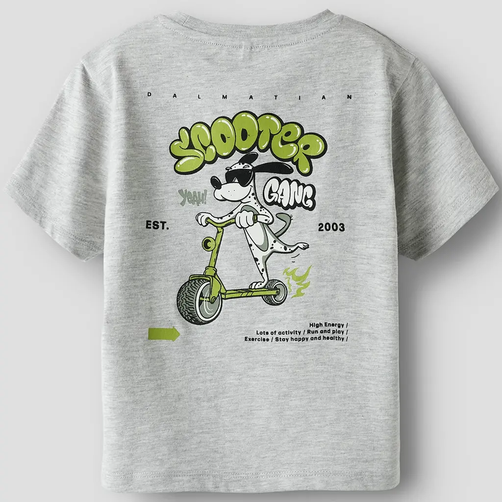 T-shirt Kieran (grey melange)