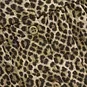 Daily7 Blouse animal (latte sand)
