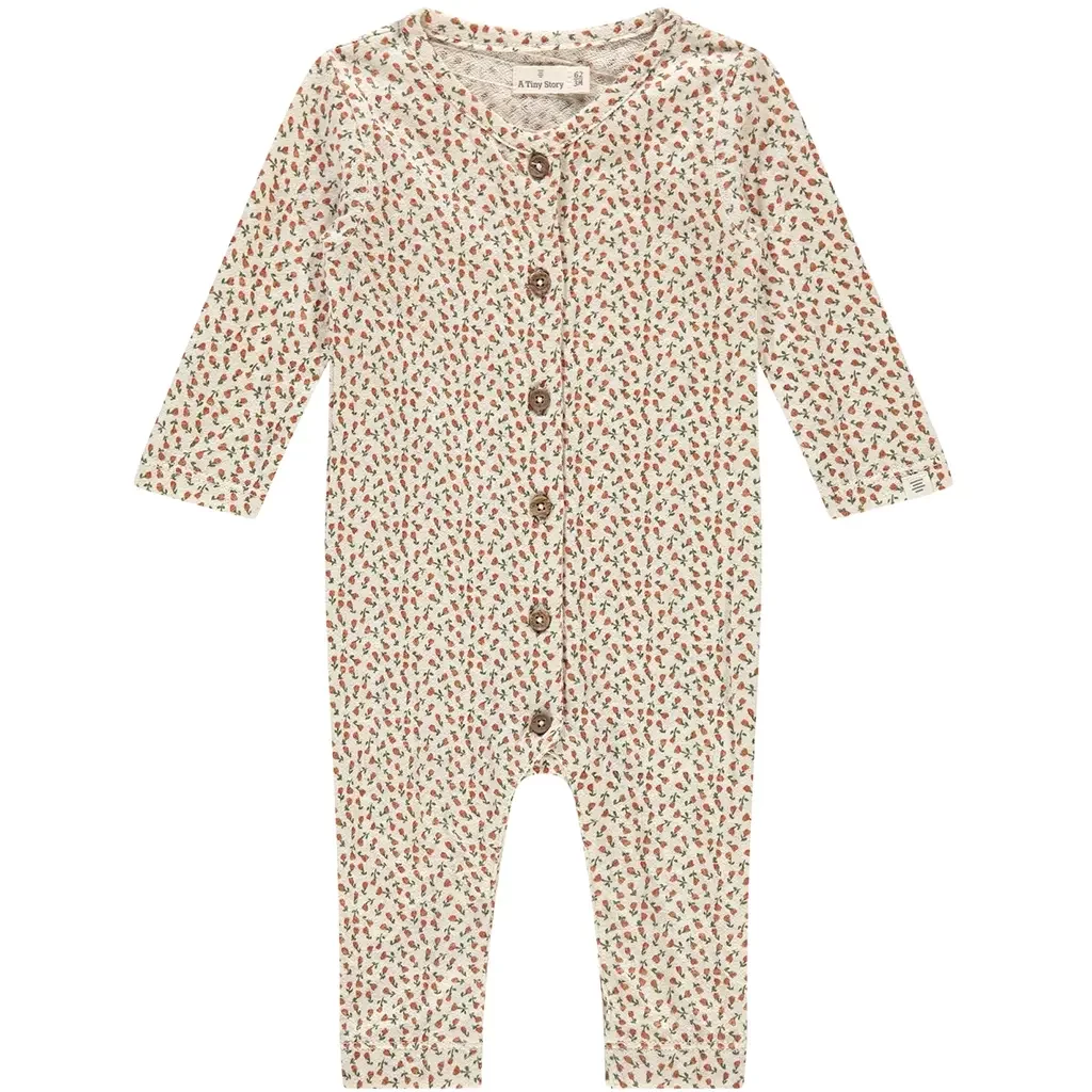 Boxpakje roosjes (snow)