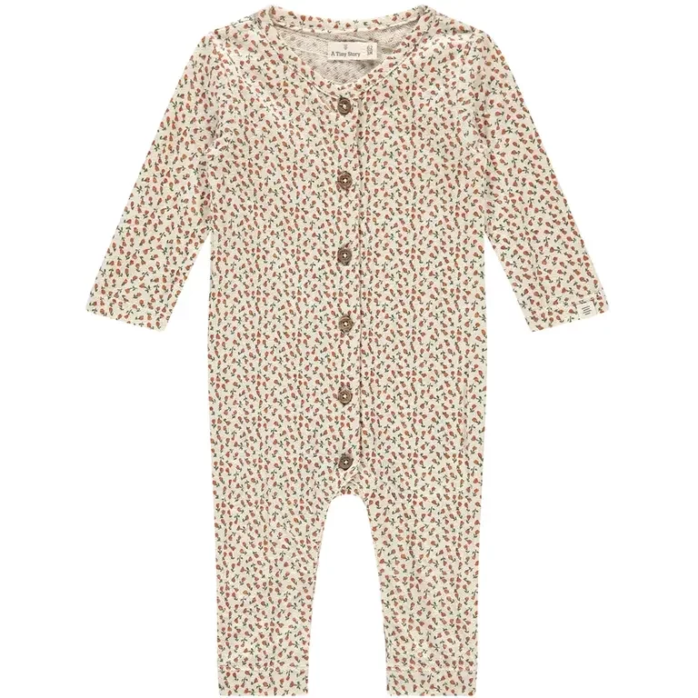 Boxpakje roosjes (snow)