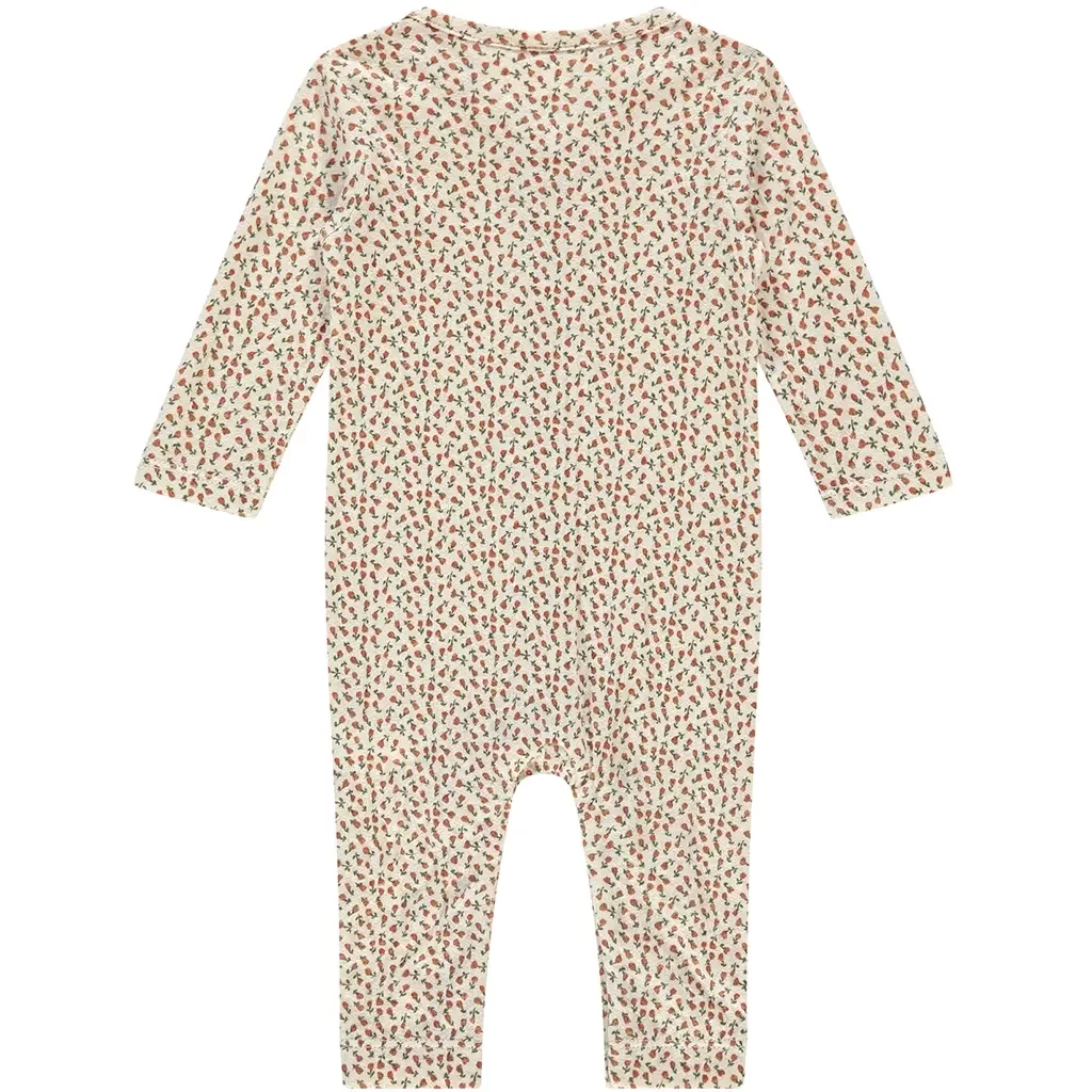 Boxpakje roosjes (snow)