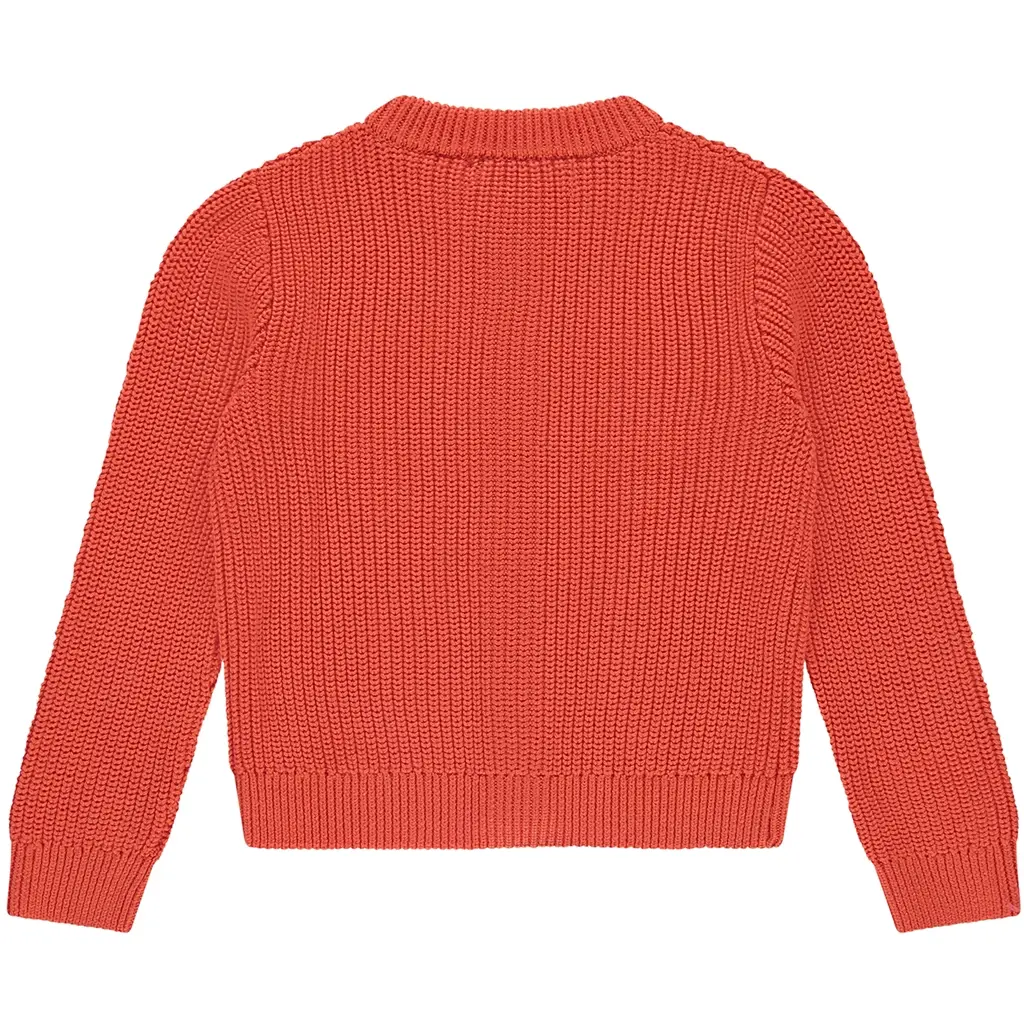 Gebreid vestje (grapefruit)