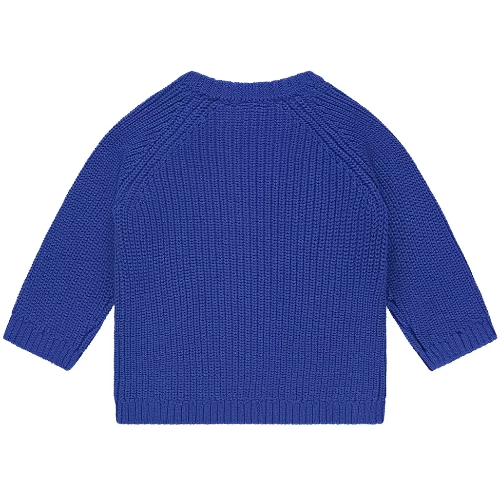 Gebreid truitje (sky)
