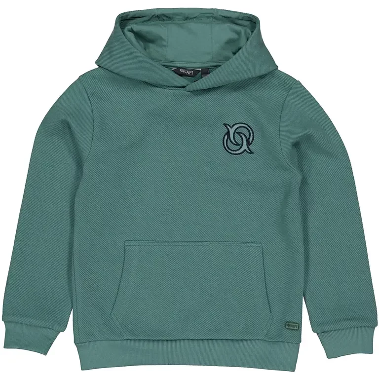 Trui hoodie Hayden (green)