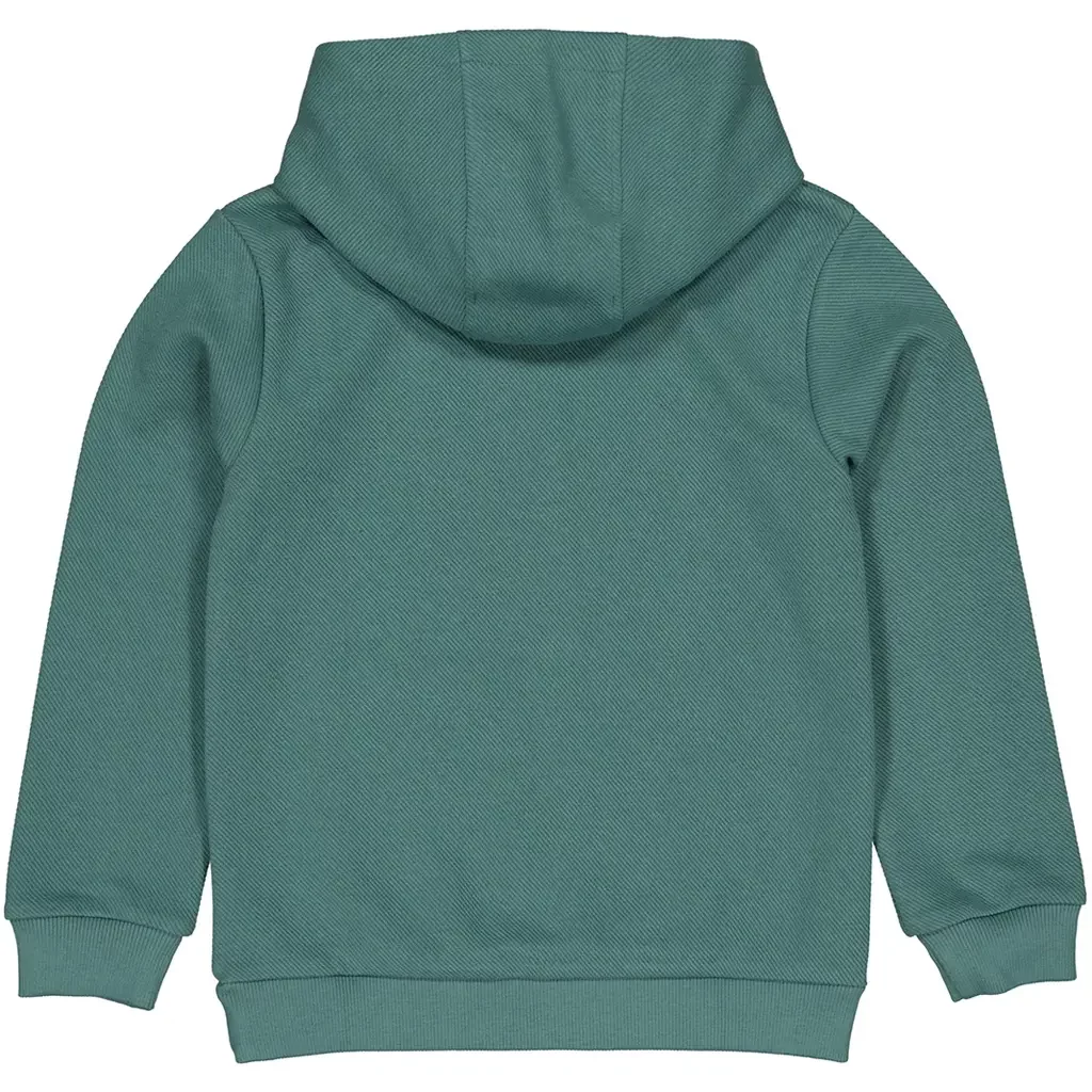 Trui hoodie Hayden (green)