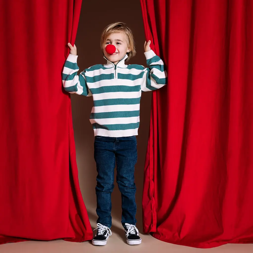 Trui Harry (aop green stripe)