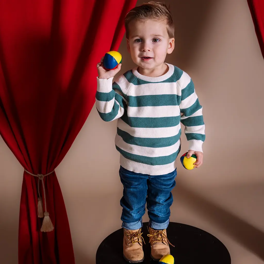 Gebreide trui Ingmar (aop green stripe)