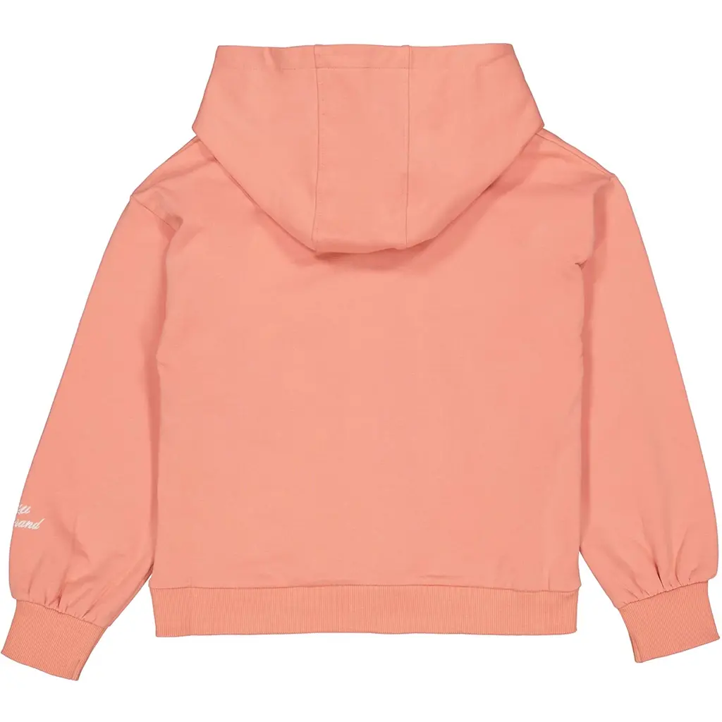 Trui hoodie Vela (peach)