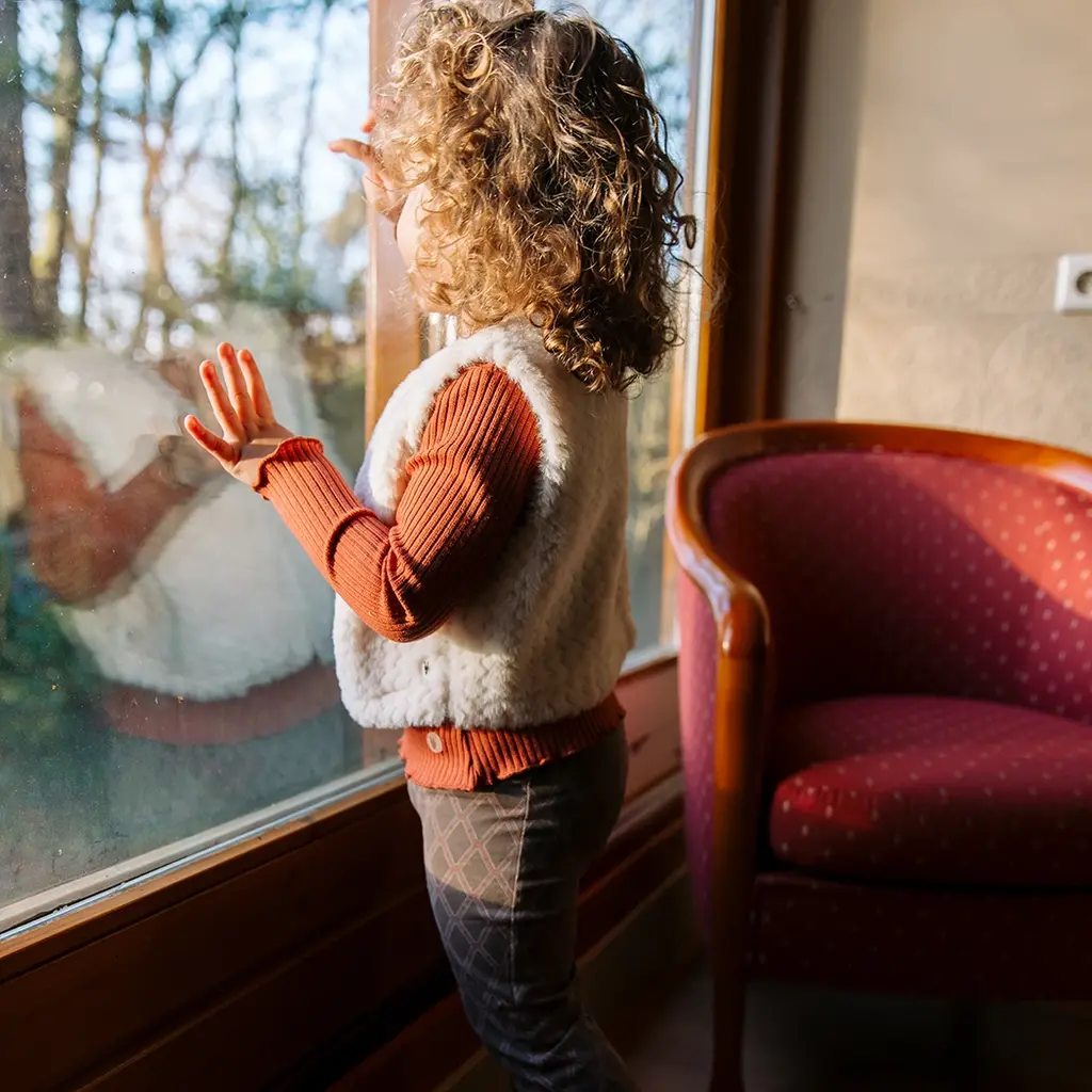 Longsleeve Veau (rust red)