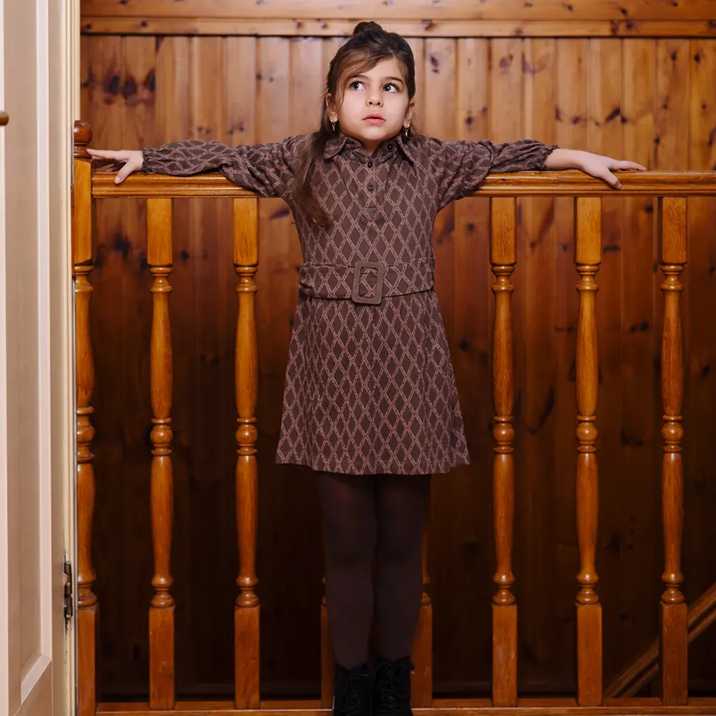 Jurk Vajen (aop taupe lines)