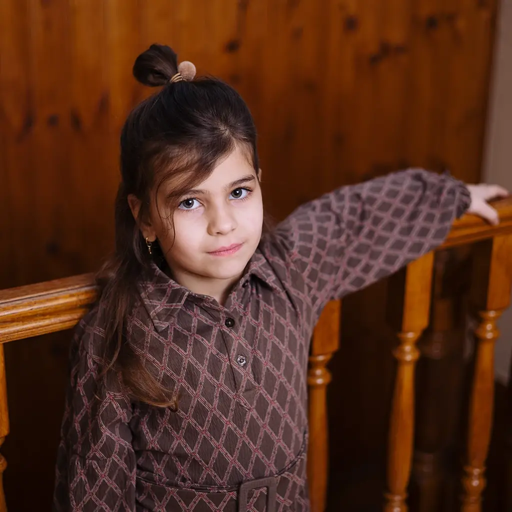 Jurk Vajen (aop taupe lines)