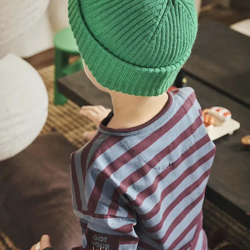 Longsleeve streep Gerben (seafoam shadow/crushed cloves)