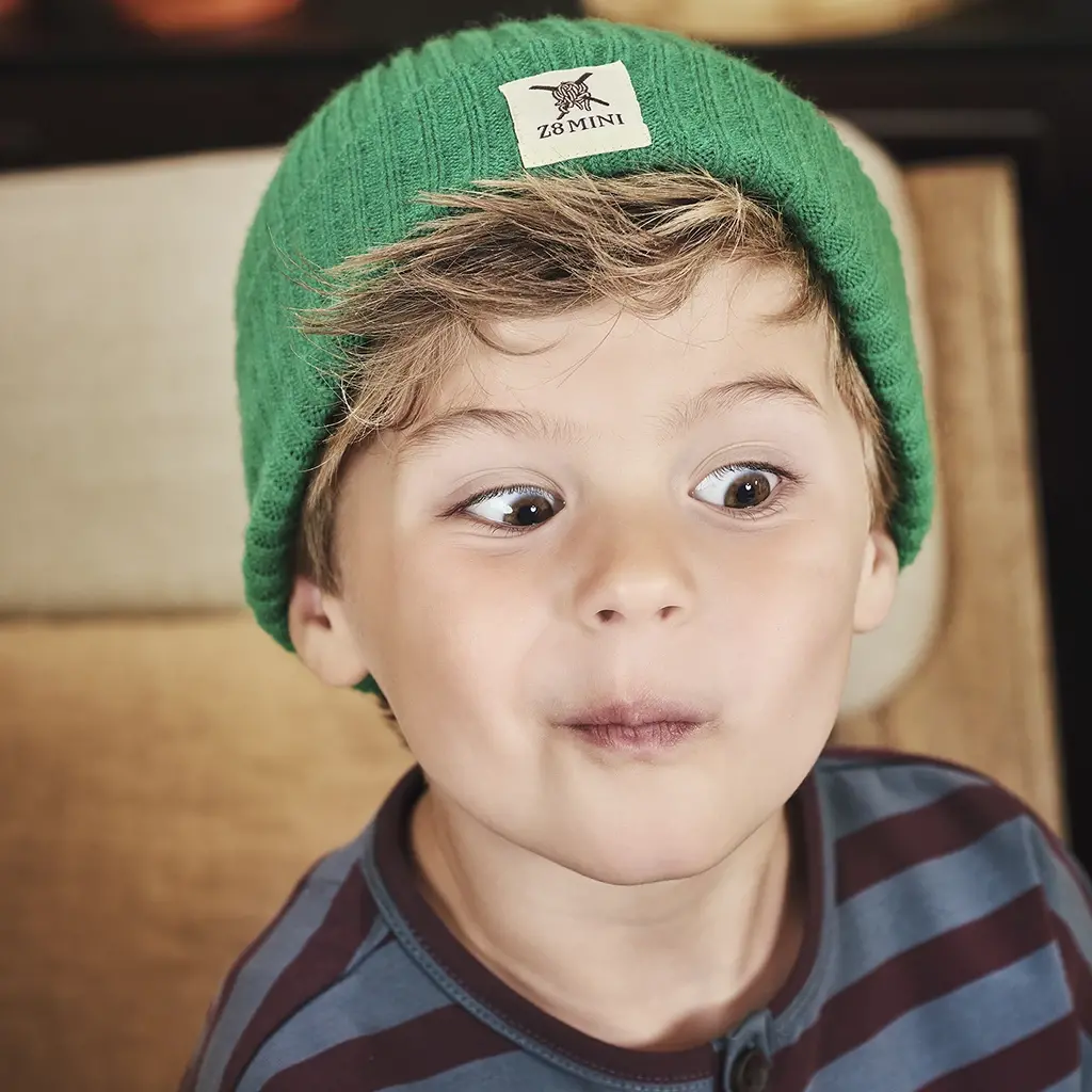 Longsleeve streep Gerben (seafoam shadow/crushed cloves)