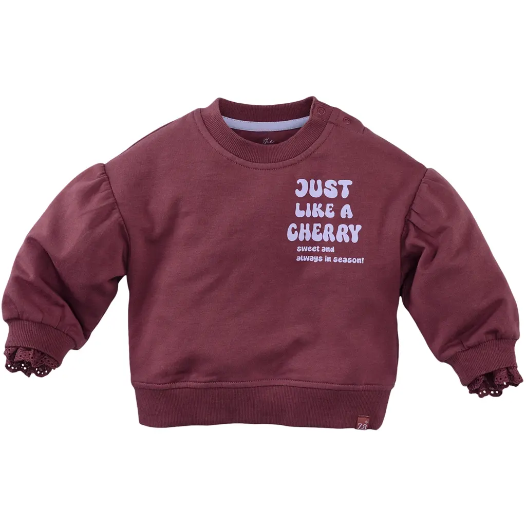 Trui sweat Lizelot (spicy mauve)