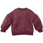 Z8 Trui sweat Lizelot (spicy mauve)