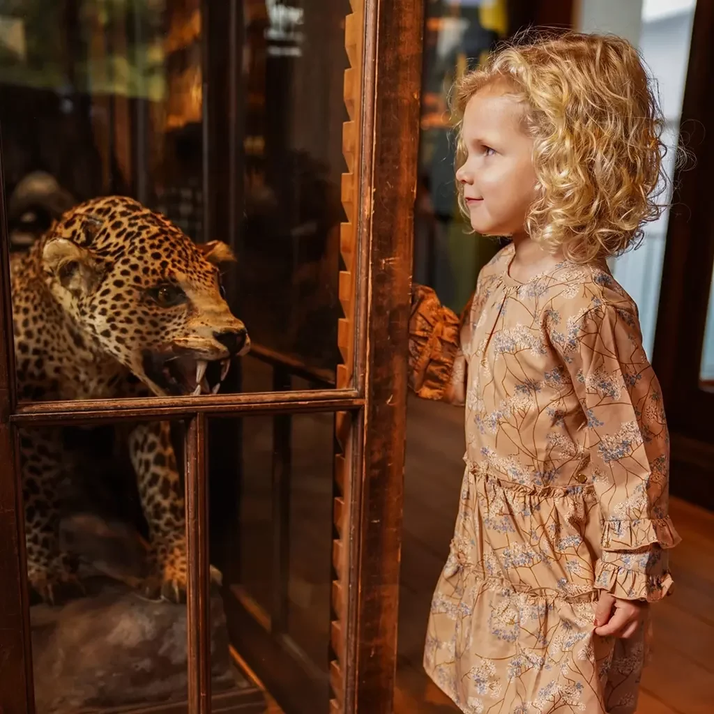 Jurk (caramel brown)