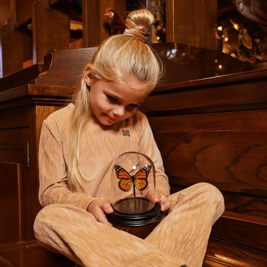 Broek flared (caramel brown)