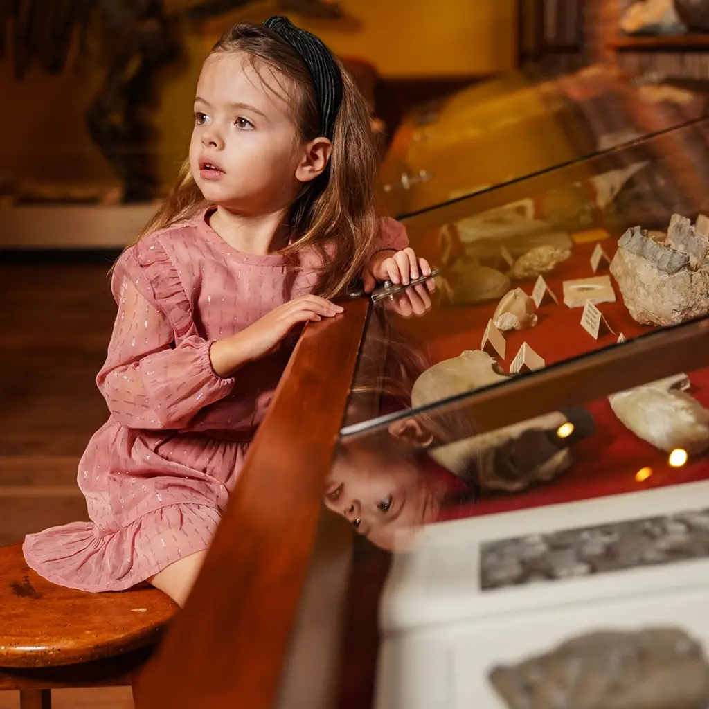 Jurk (dark old pink)