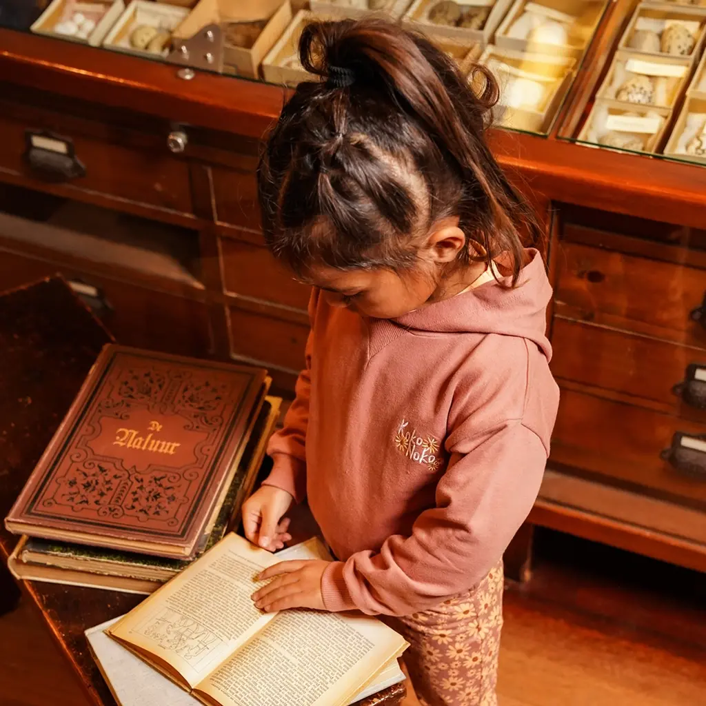 Trui hoodie (dark old pink)