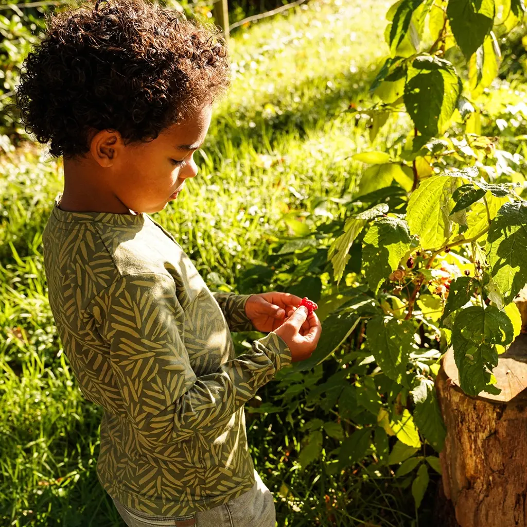 Longsleeve (army green)
