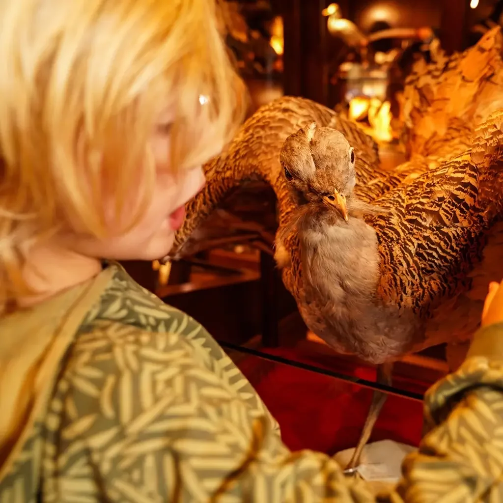 Trui hoodie (army green)