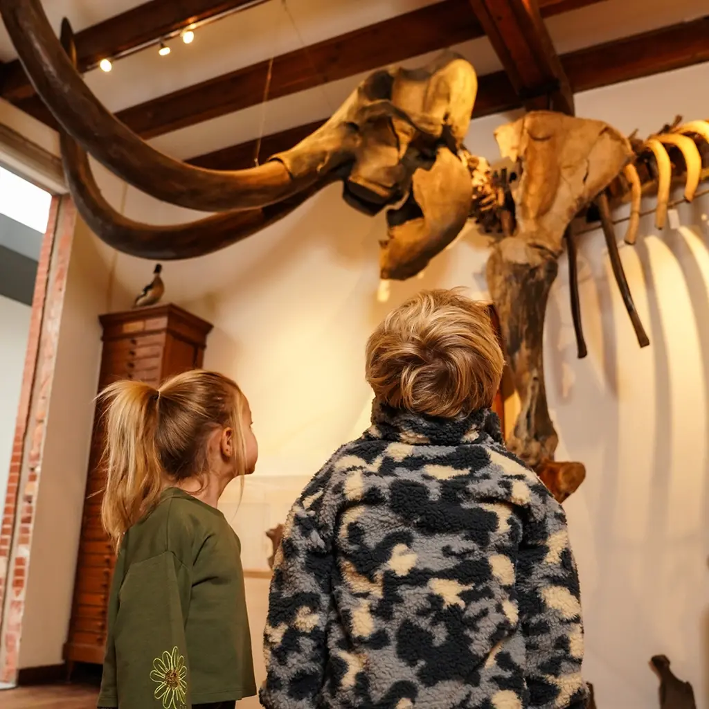 Trui teddy (steel blue)