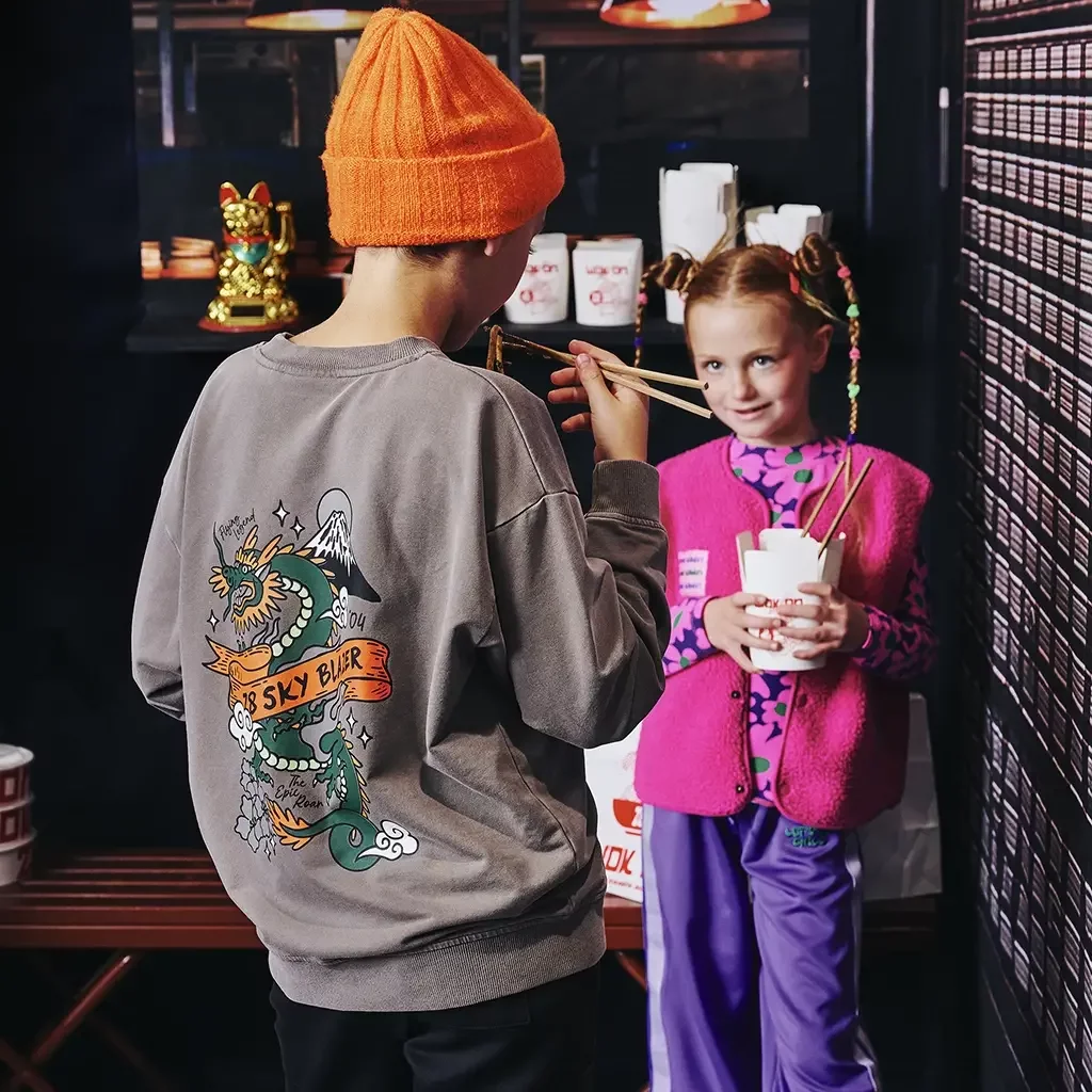 Trui sweat garment dye Jett (mouse s back)