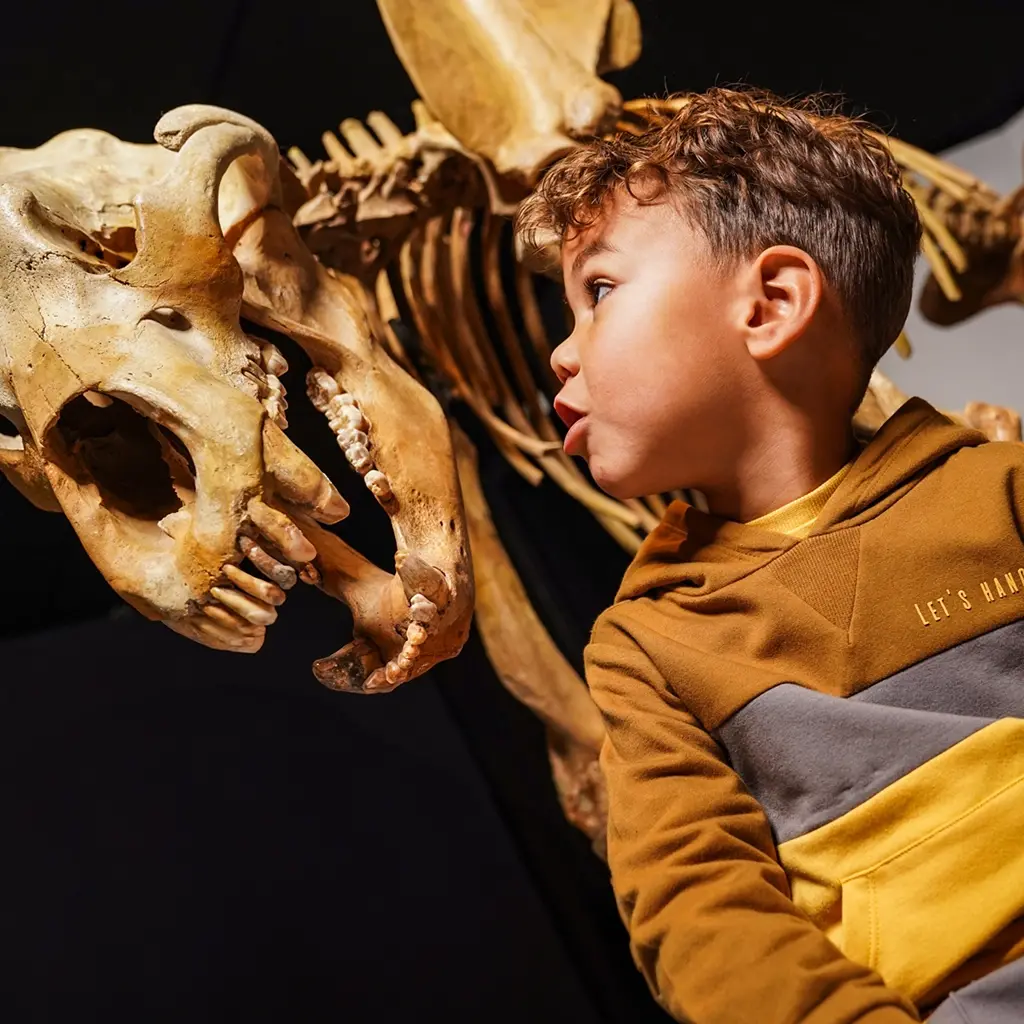 Trui hoodie (mustard)