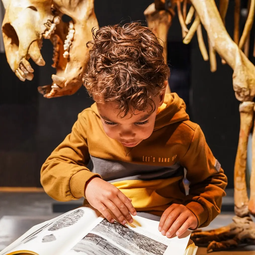 Trui hoodie (mustard)