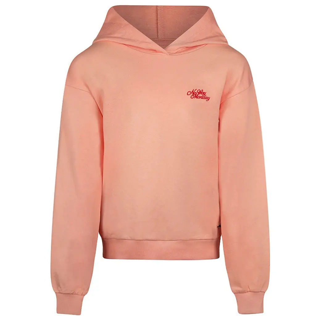 Trui hoodie (pink)