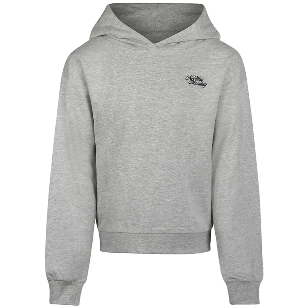 Trui hoodie (mid grey)