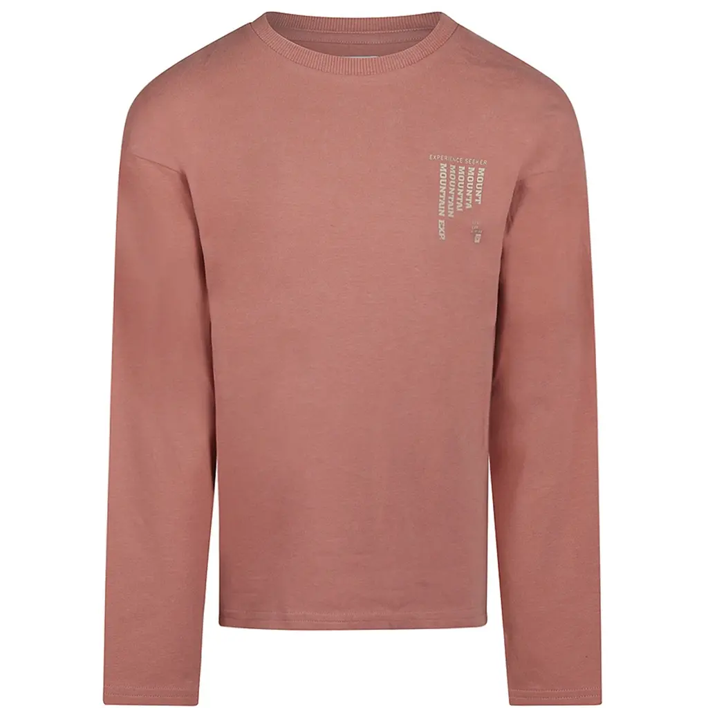 Longsleeve (faded red)