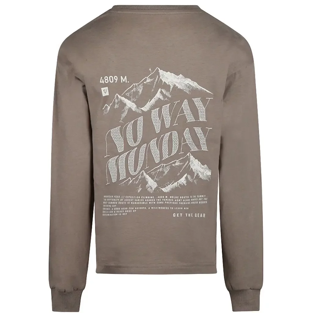 Longsleeve (taupe)