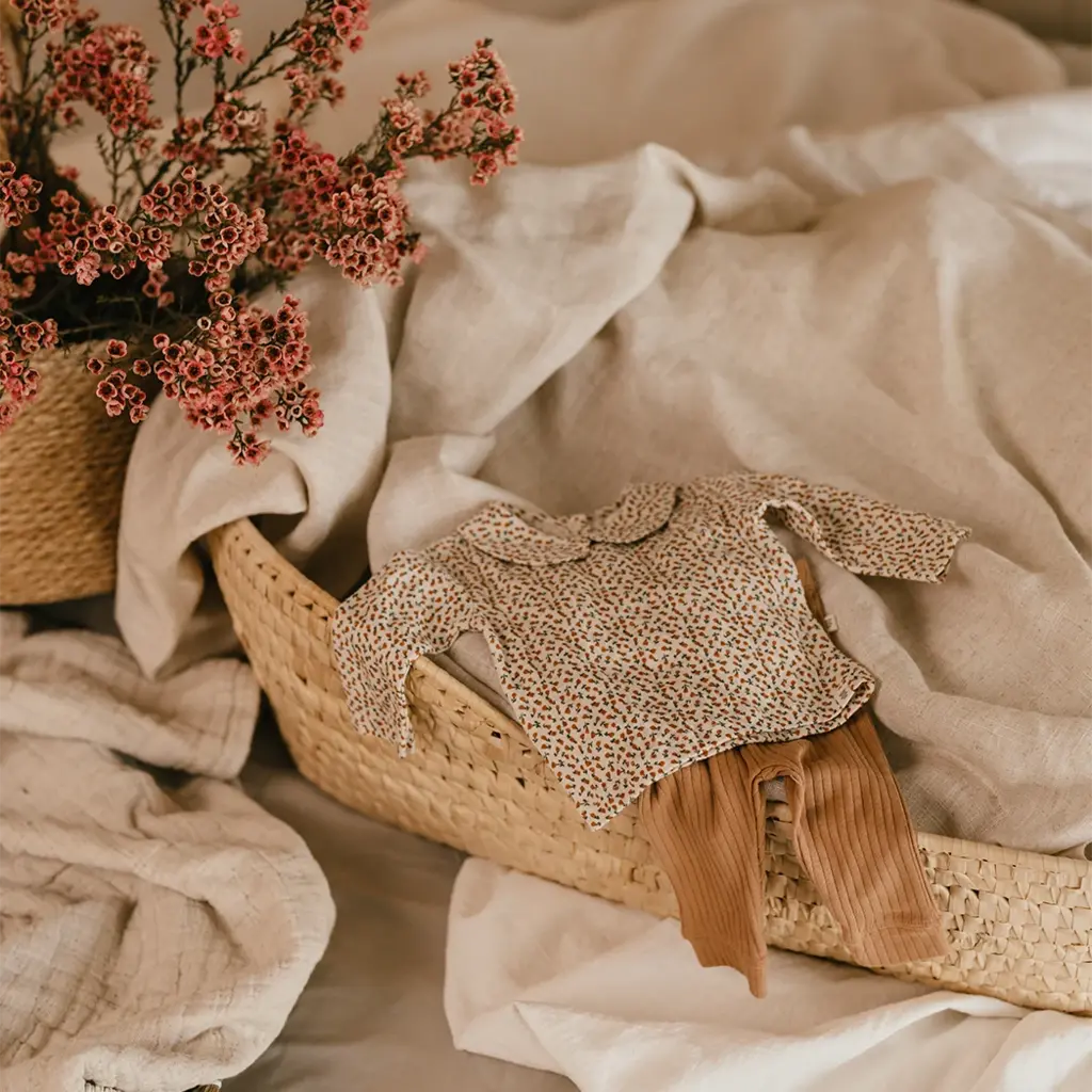 Shirtje roosjes (snow)