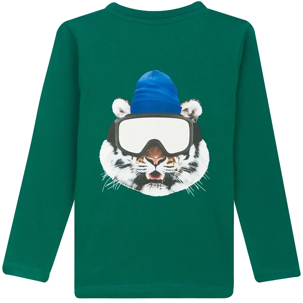 Longsleeve Elliot (green)