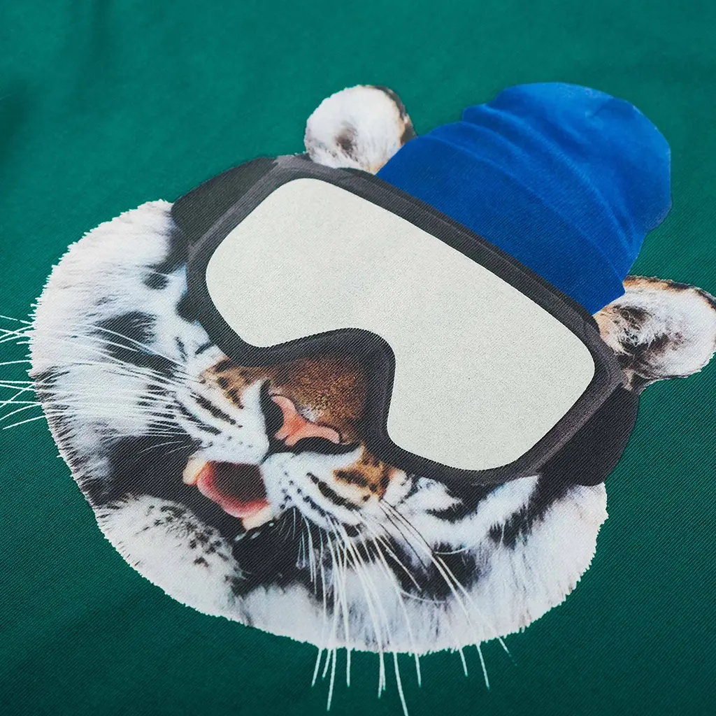 Longsleeve Elliot (green)