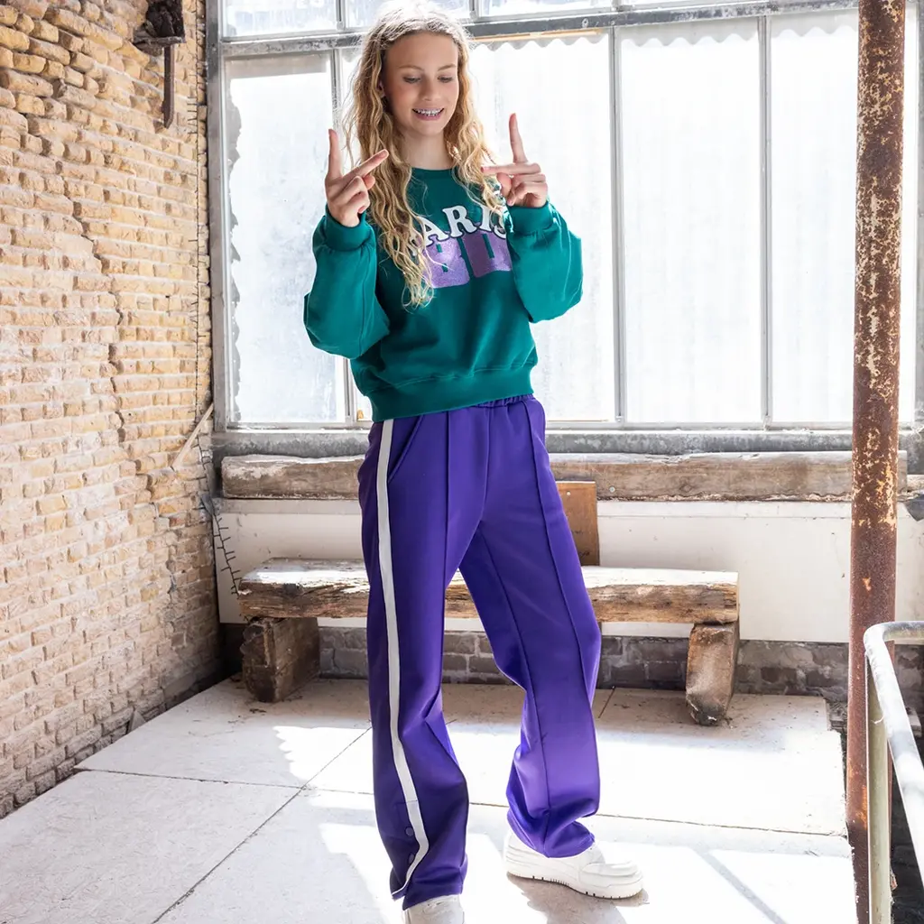 Broek shiny (violet)