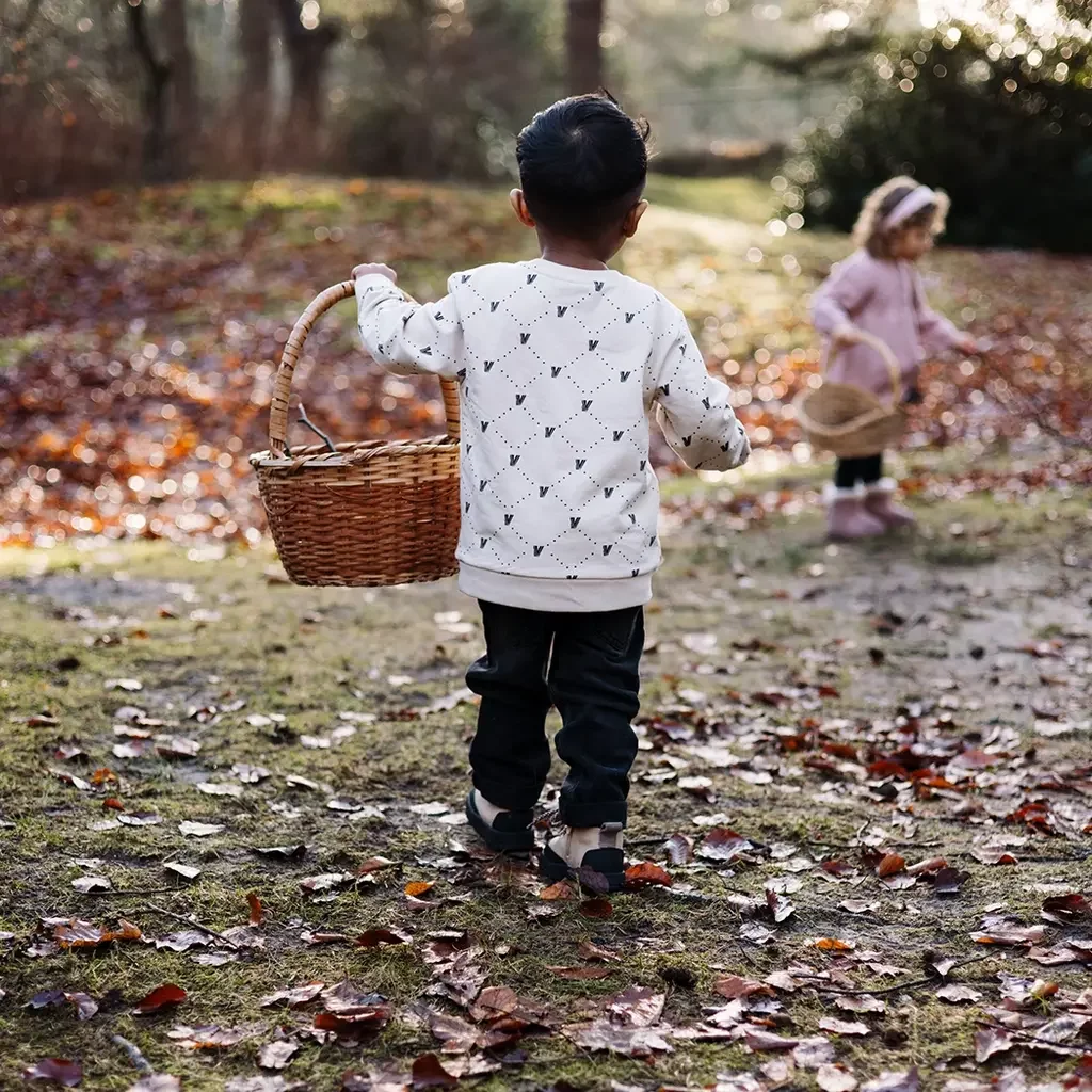 Trui Varick (aop white graphic)