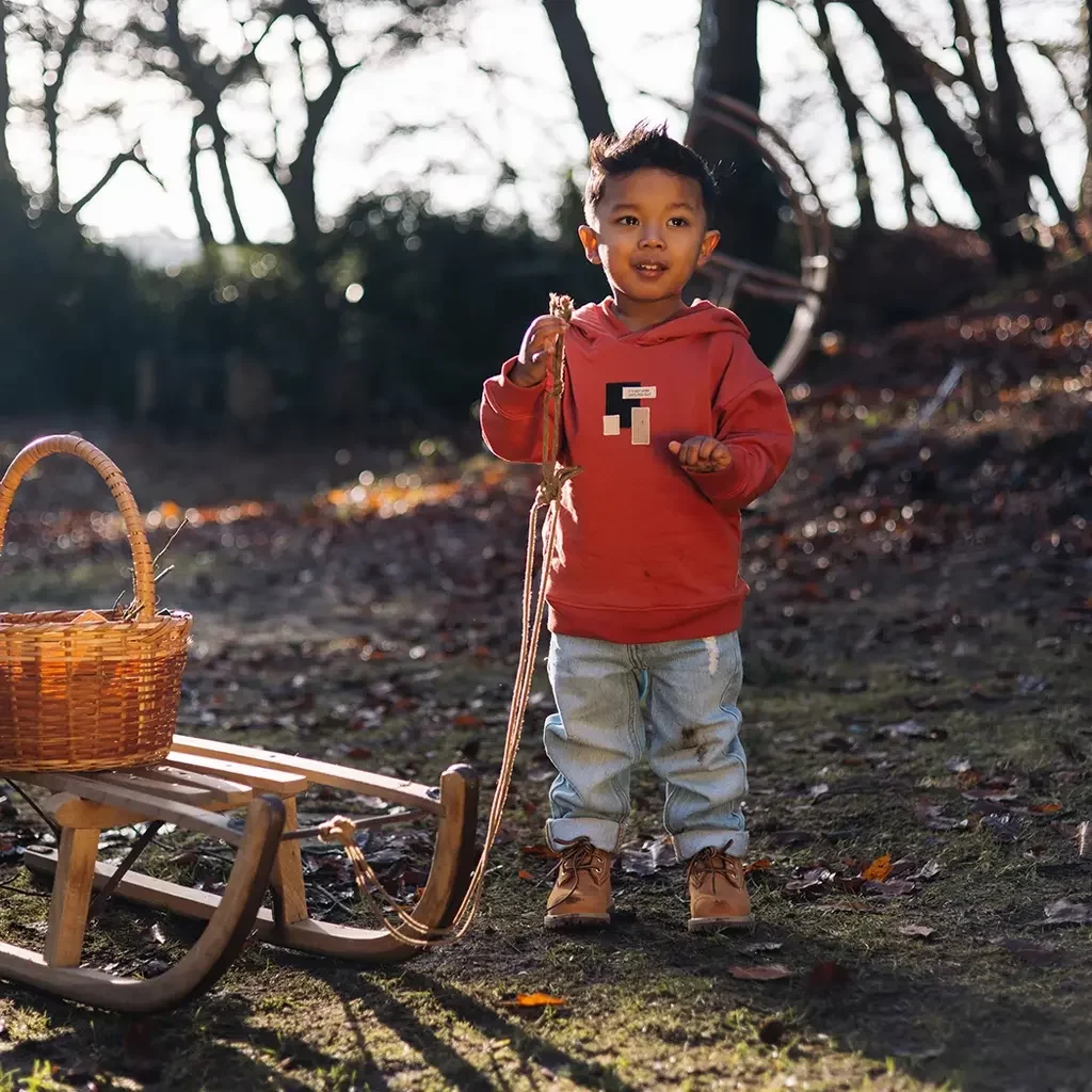 Trui hoodie Viggo (red)