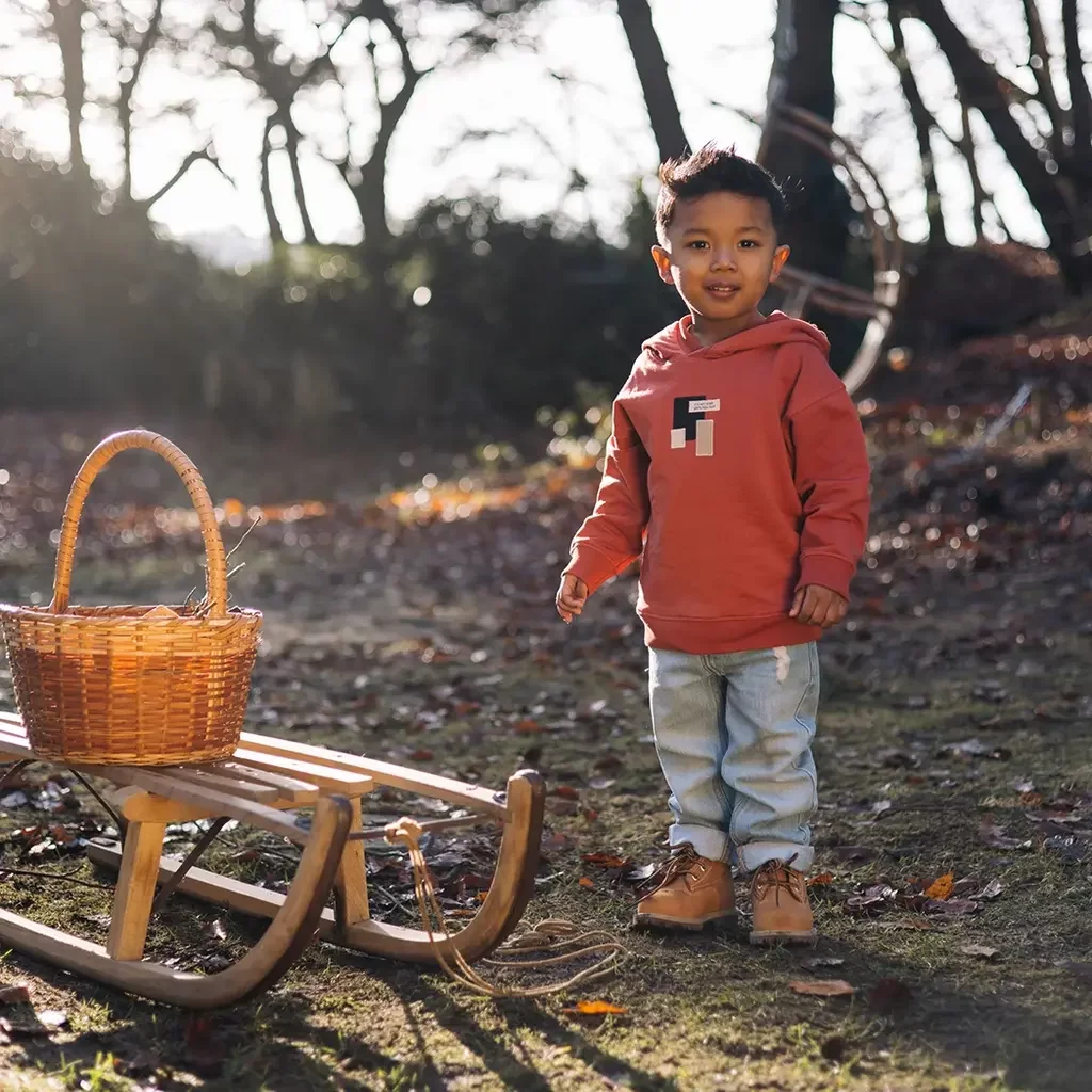 Trui hoodie Viggo (red)