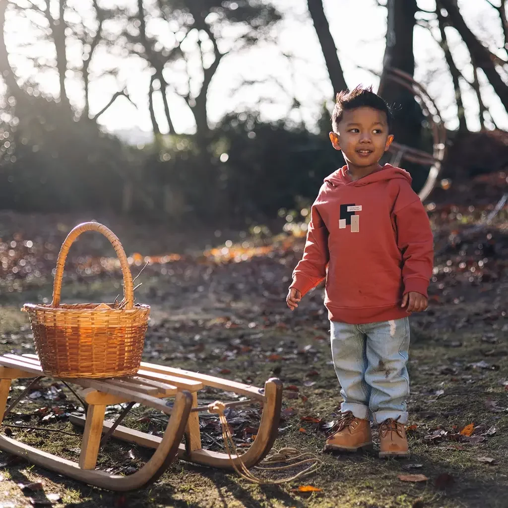 Trui hoodie Viggo (red)