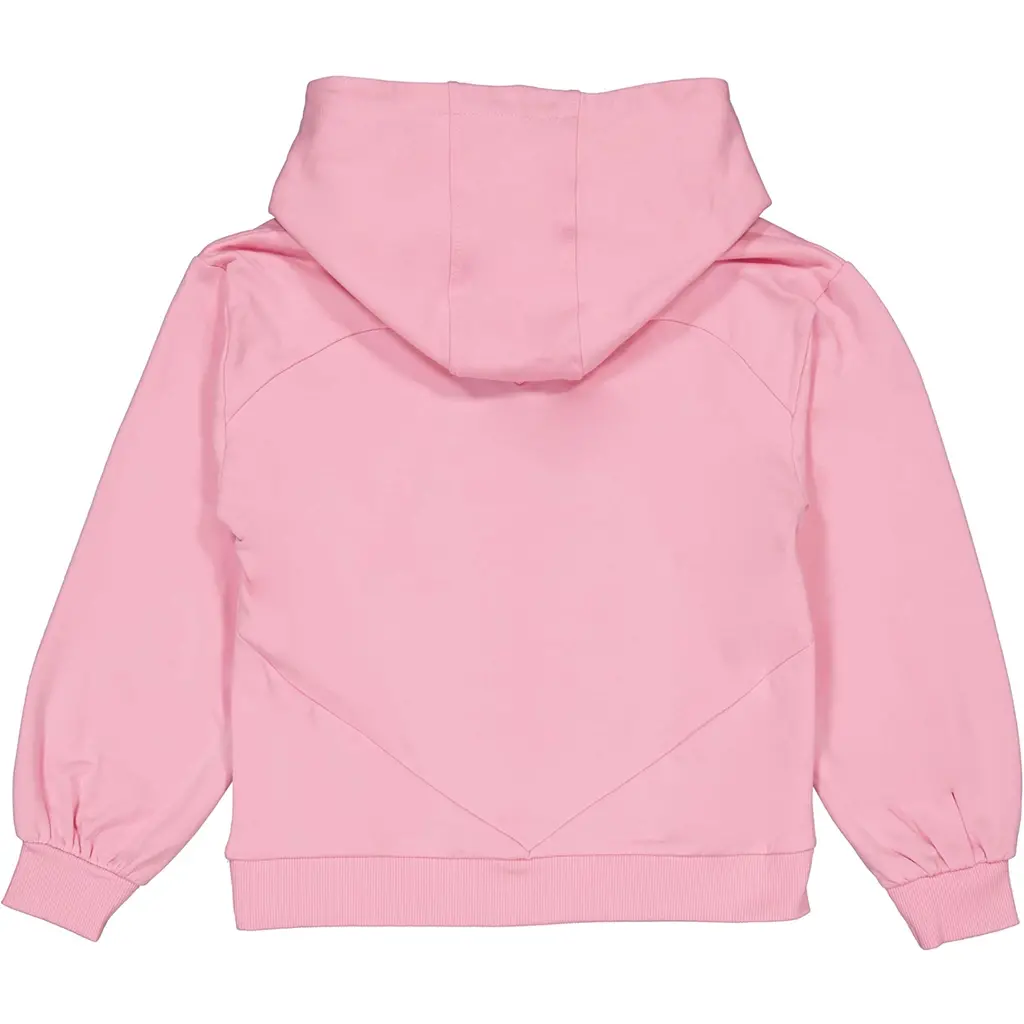 Trui hoodie Havanna (soft pink)