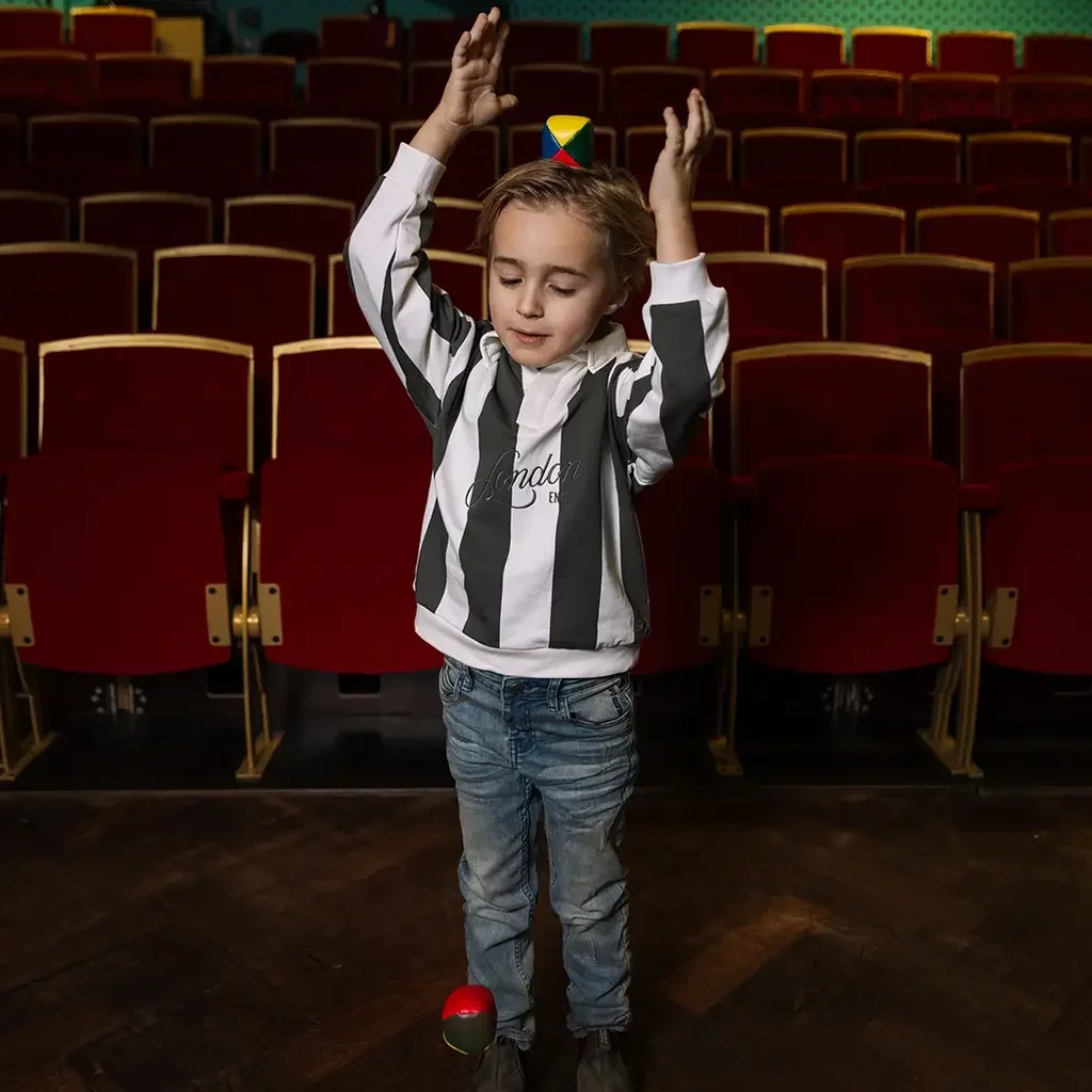 Trui Harman oversized (aop dark green stripe)