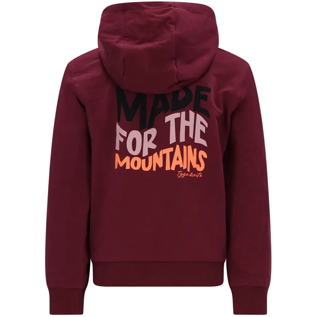 Trui hoodie Selma (maroon)