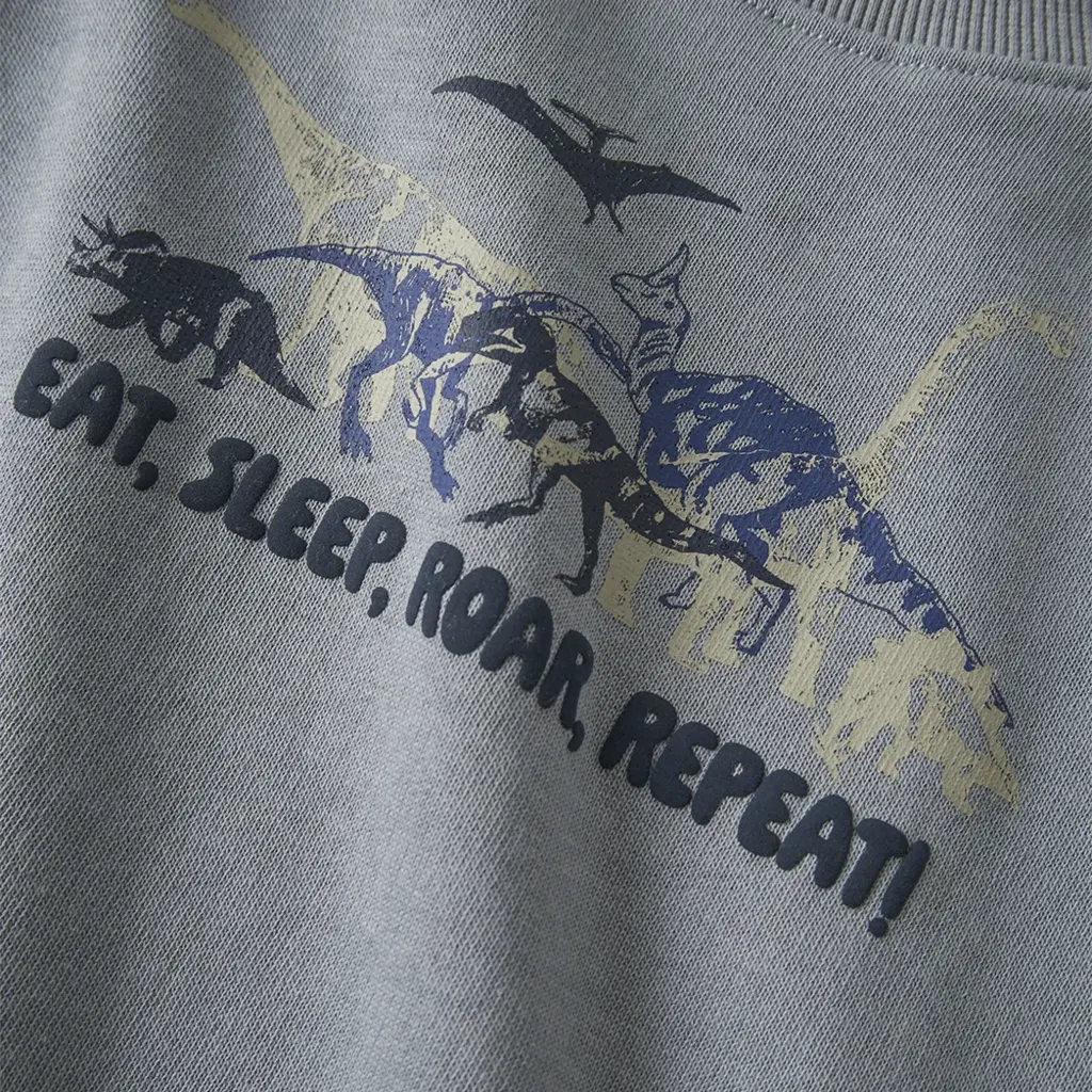 Trui sweater Vildar (trade winds dino world)