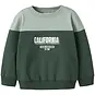 Name It Trui sweater Vemil (garden topiary/califonia cloud)