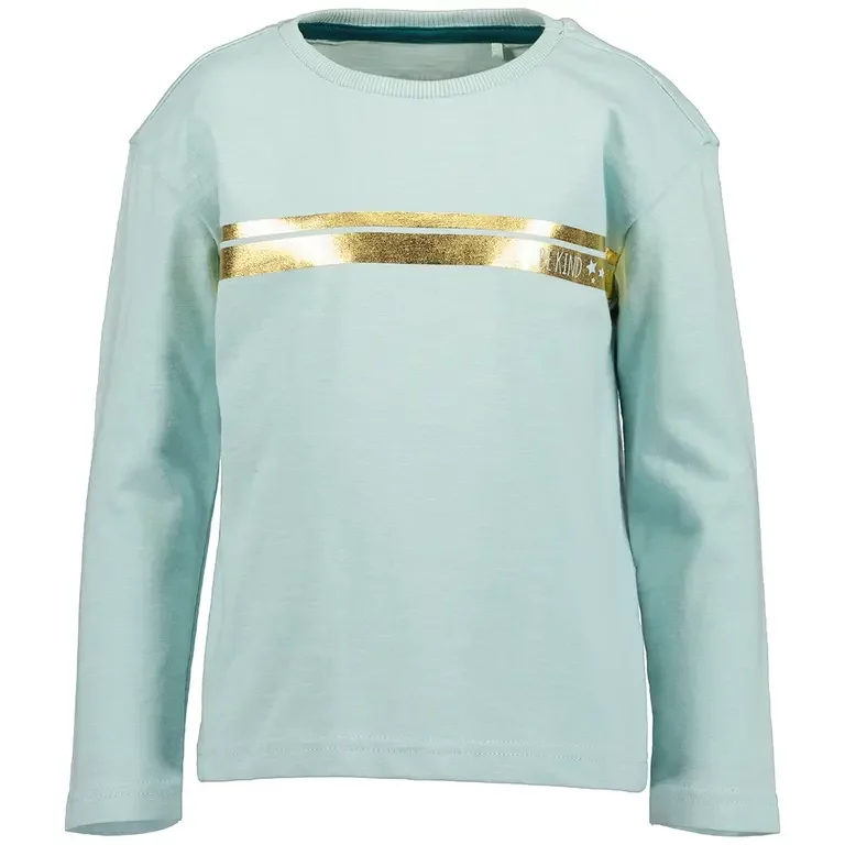 Longsleeve (glacier)