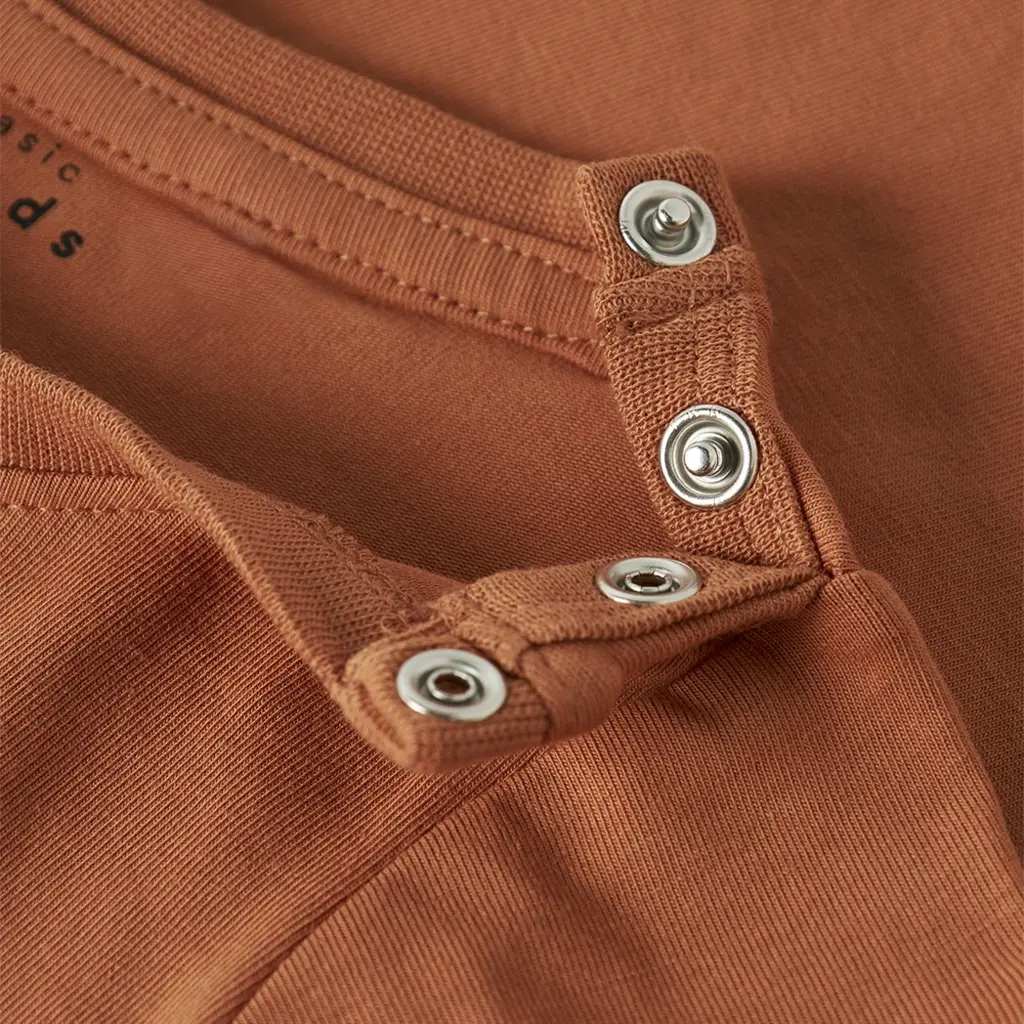 Rompertje Vroels (autumn leaf planets)