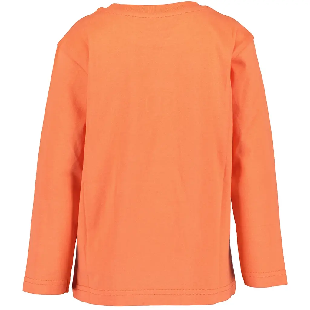 Longsleeve (flamingo)