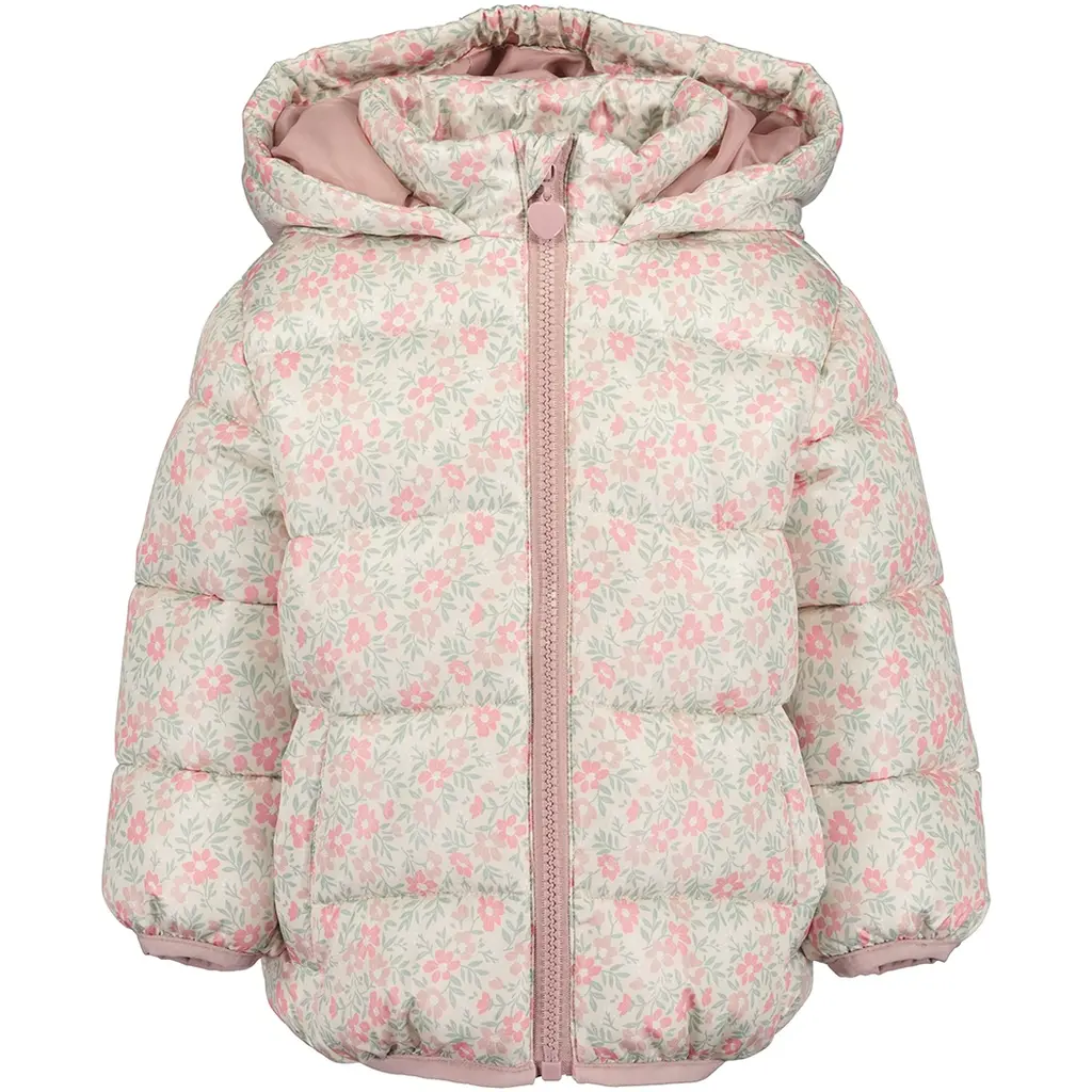 Winterjasje (pebble)